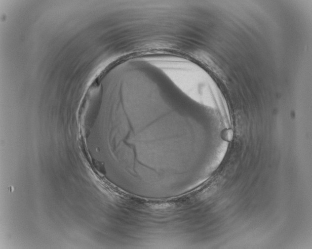 X0000070351031200607072033