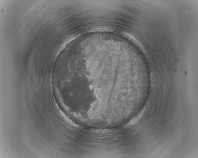 X0000070351033200607072033