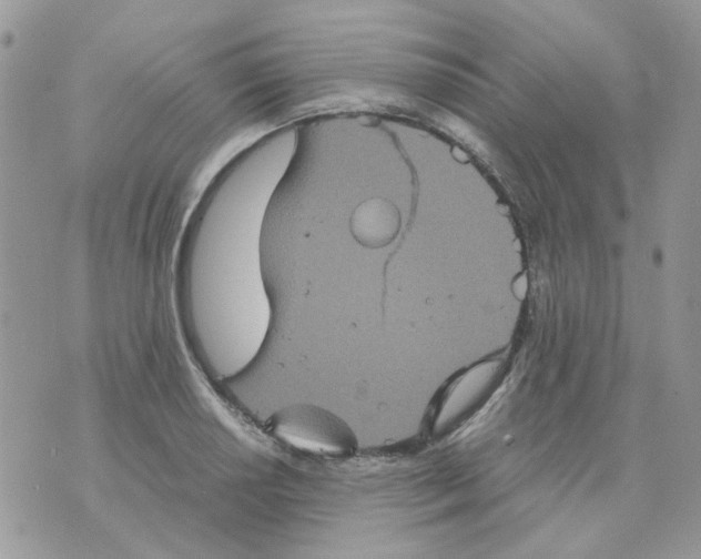 X0000070351034200607072033