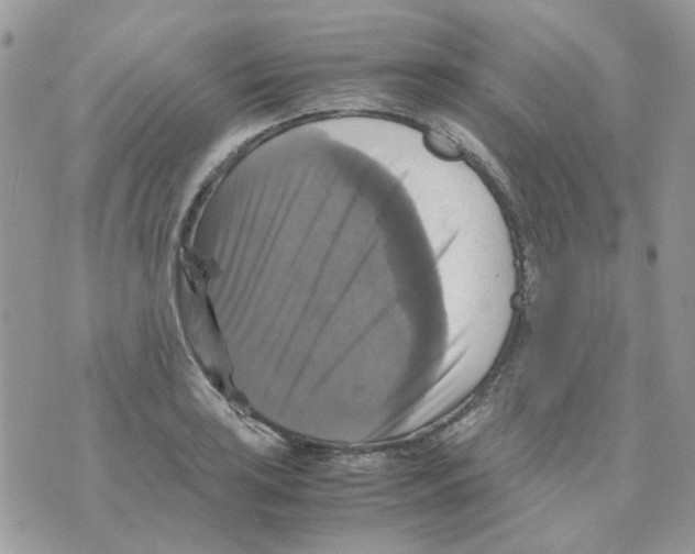 X0000070351035200607072033