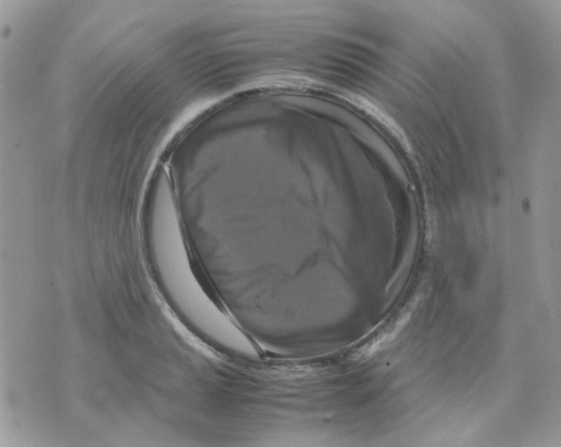 X0000070351037200607072033