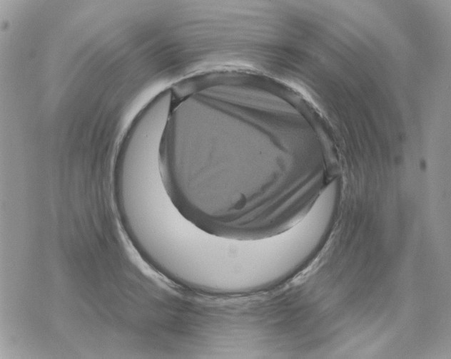 X0000070351038200607072033