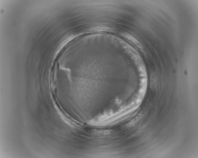 X0000070351039200607072033