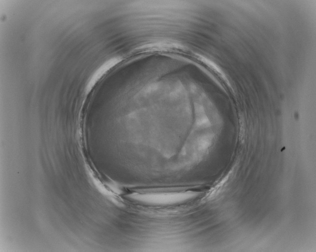 X0000070351042200607072033