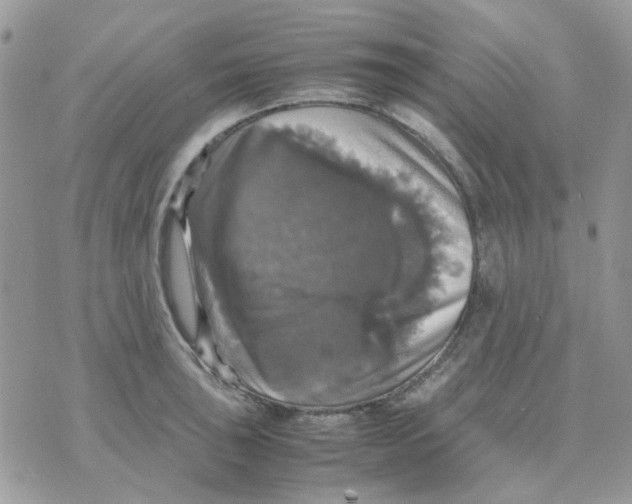 X0000070351043200607072033