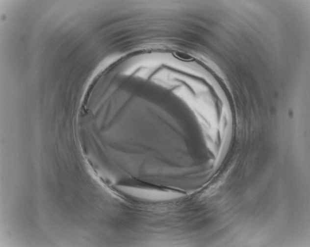 X0000070351045200607072033