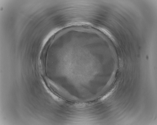 X0000070351046200607072033