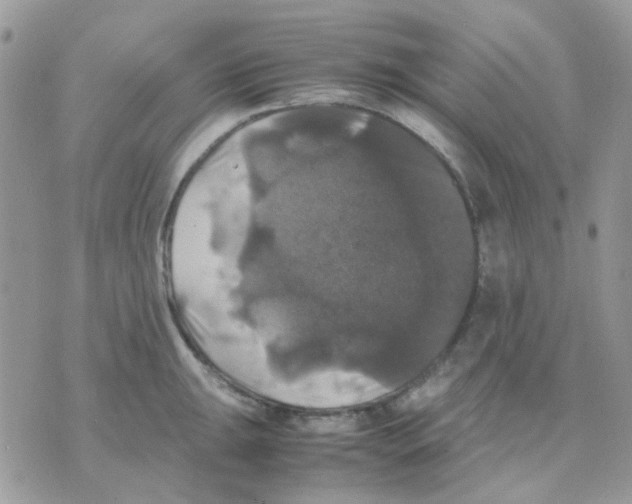 X0000070351047200607072033