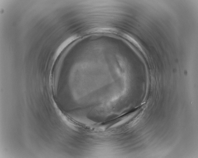 X0000070351050200607072033