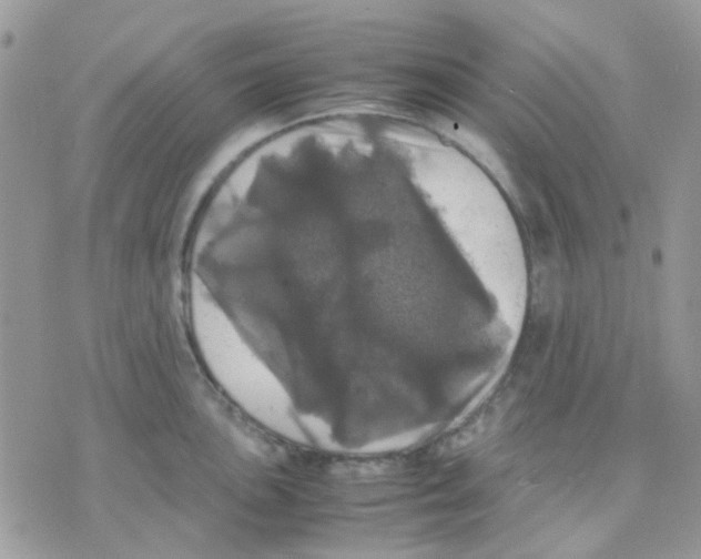 X0000070351051200607072033