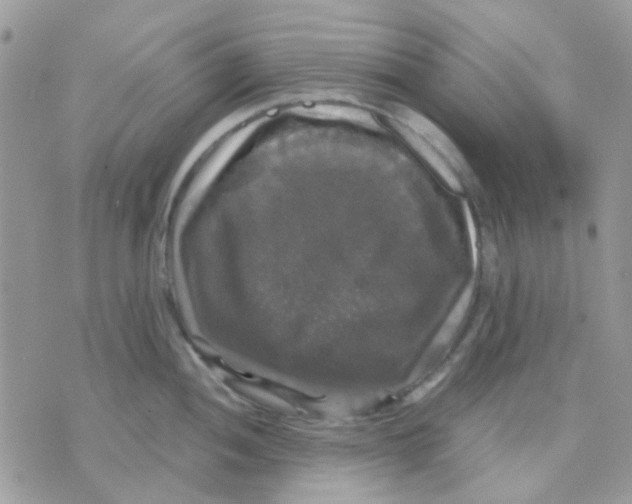 X0000070351052200607072033