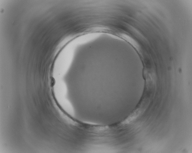 X0000070351055200607072033