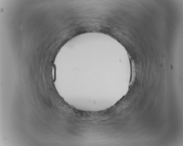 X0000070351057200607072032