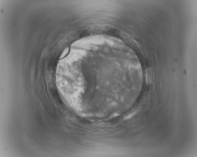 X0000070351059200607072032