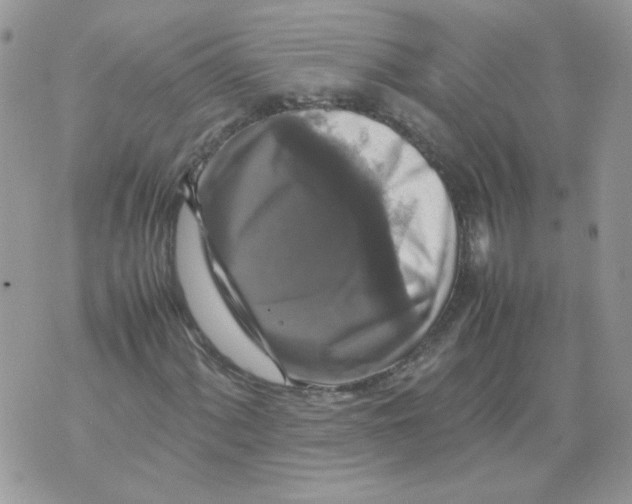 X0000070351060200607072032