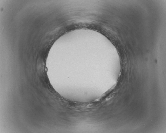 X0000070351061200607072032