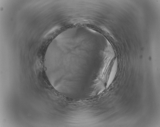 X0000070351063200607072032