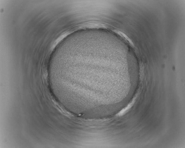 X0000070351065200607072032