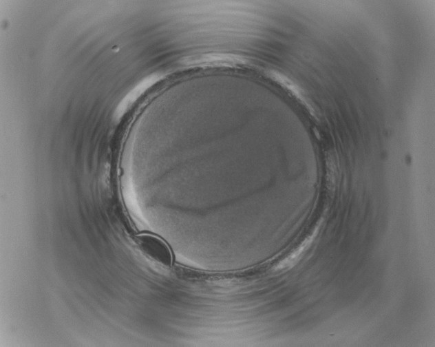 X0000070351066200607072032