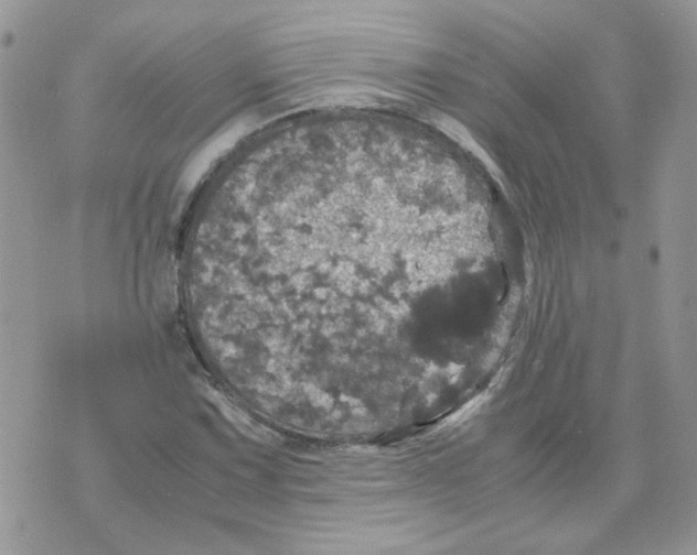 X0000070351067200607072032