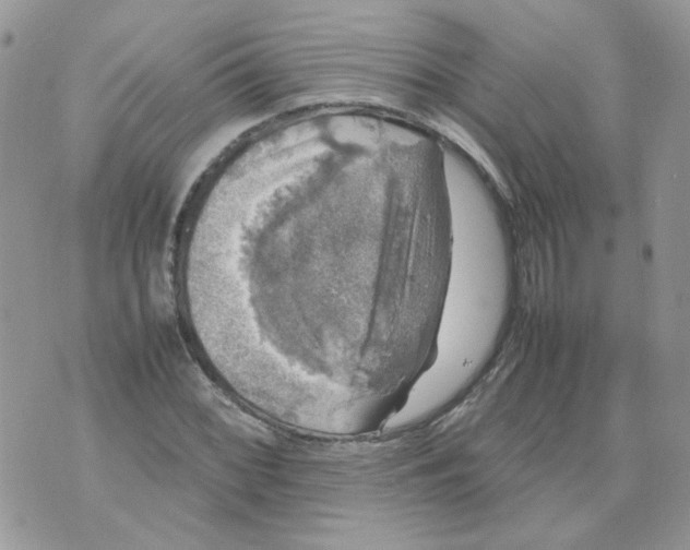 X0000070351068200607072032