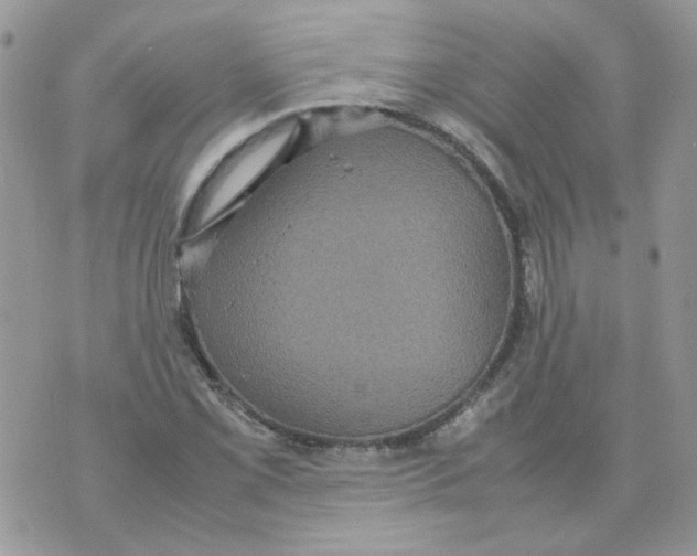 X0000070351069200607072032