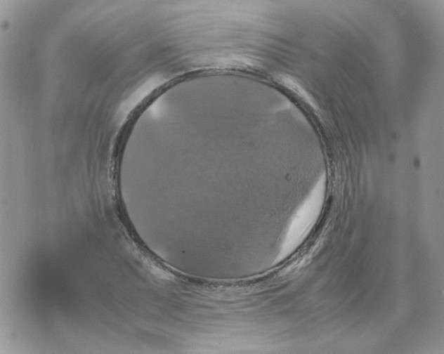 X0000070351071200607072032