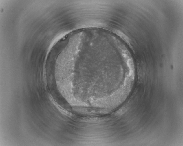 X0000070351072200607072032