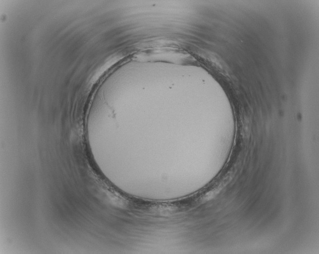 X0000070351073200607072032