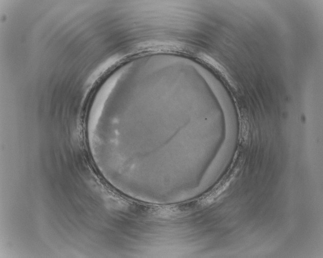 X0000070351074200607072032