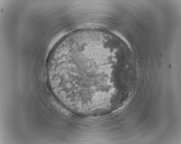 X0000070351075200607072032