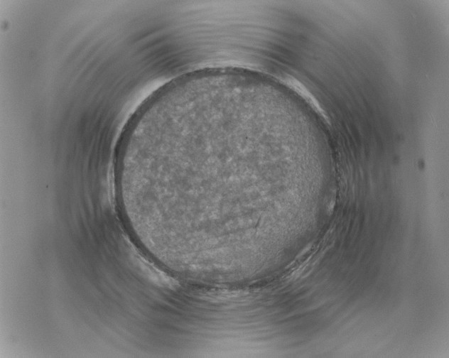 X0000070351076200607072032