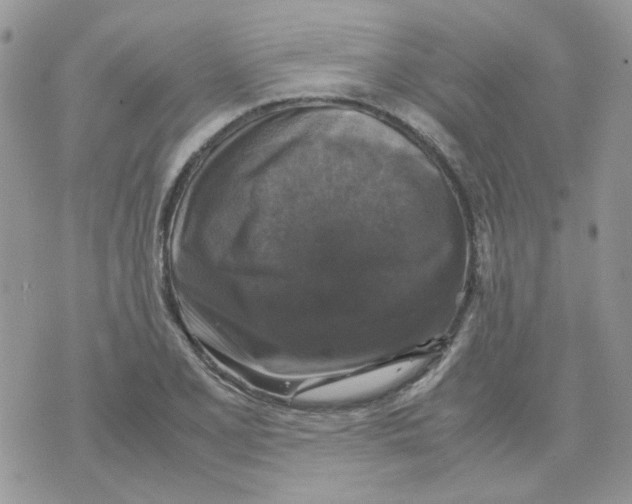 X0000070351077200607072032