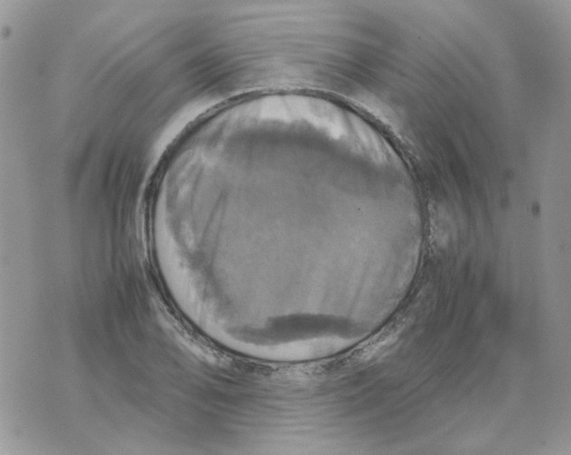 X0000070351078200607072032