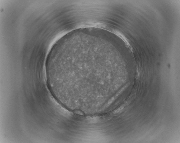 X0000070351080200607072032