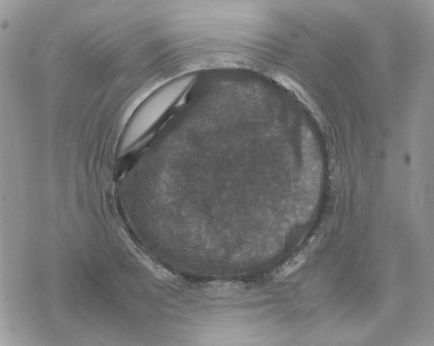 X0000070351081200607072032