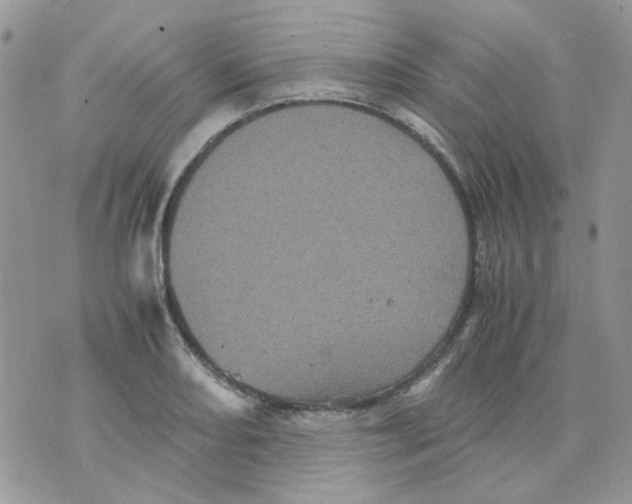 X0000070351082200607072032