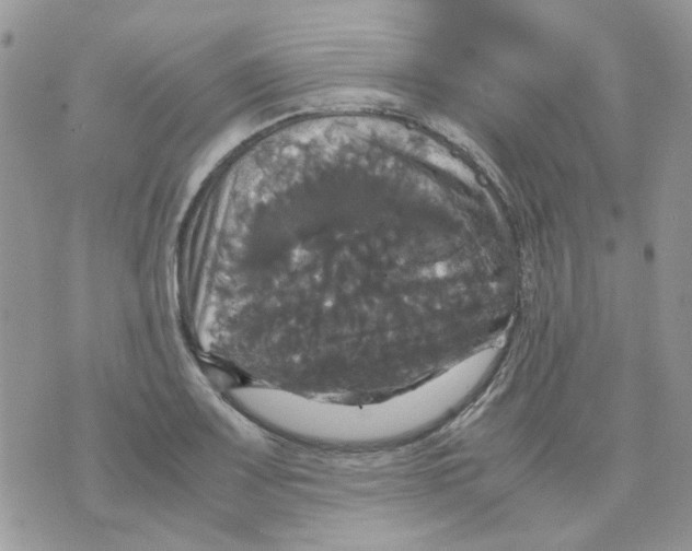 X0000070351083200607072032