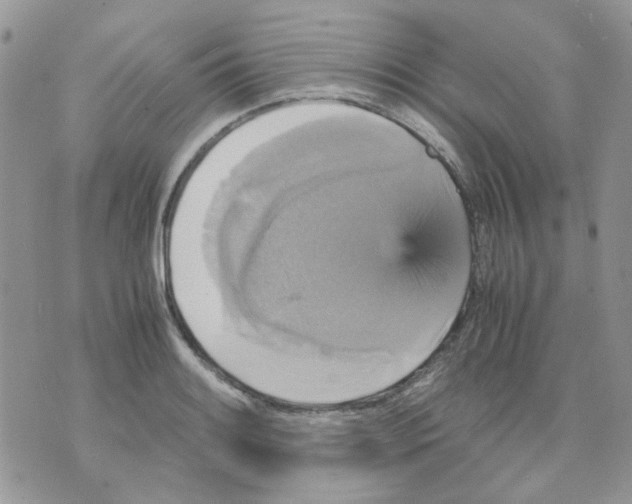 X0000070351084200607072032