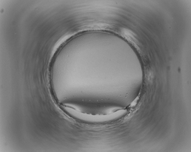 X0000070351085200607072032