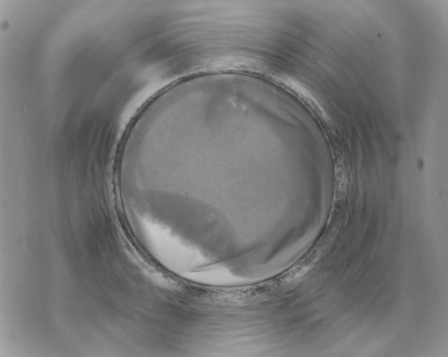 X0000070351086200607072032