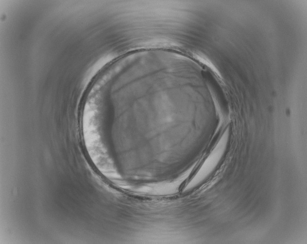 X0000070351087200607072032