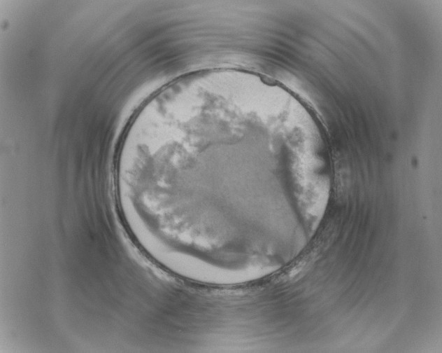 X0000070351088200607072032