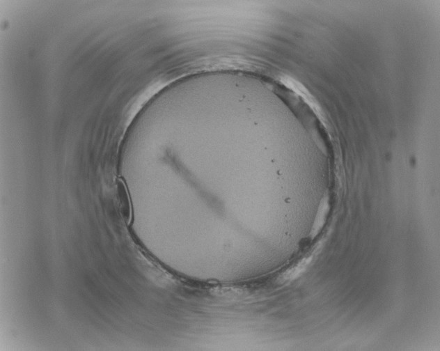 X0000070351089200607072032