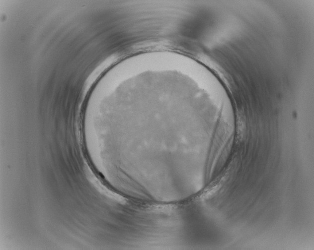 X0000070351090200607072032