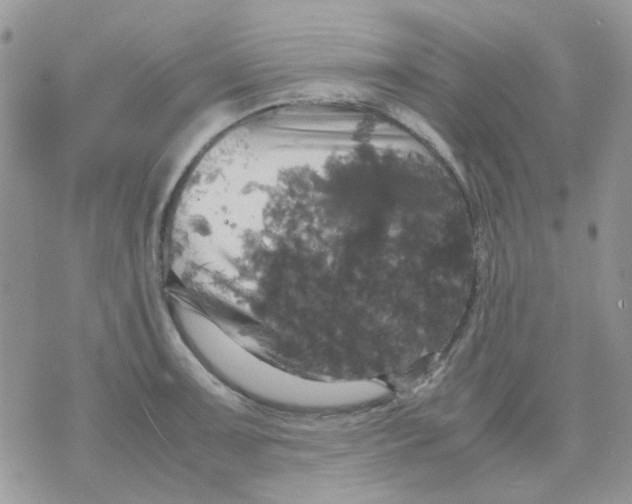 X0000070351091200607072032