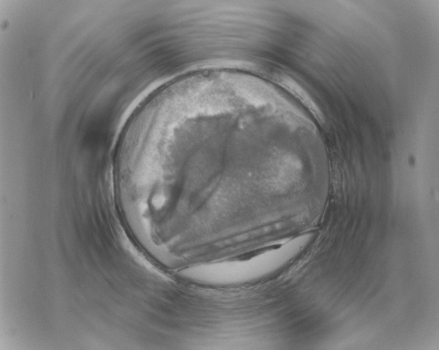 X0000070351092200607072032