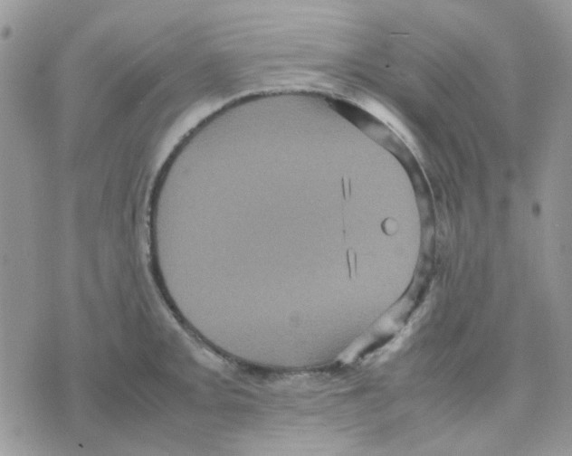 X0000070351093200607072032