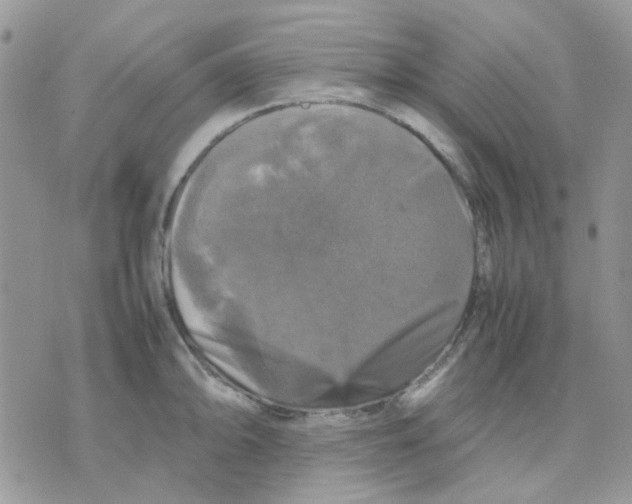 X0000070351094200607072032