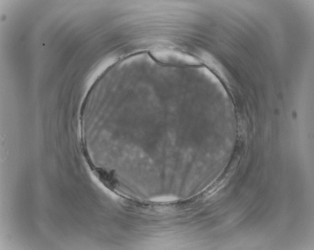 X0000070351095200607072032